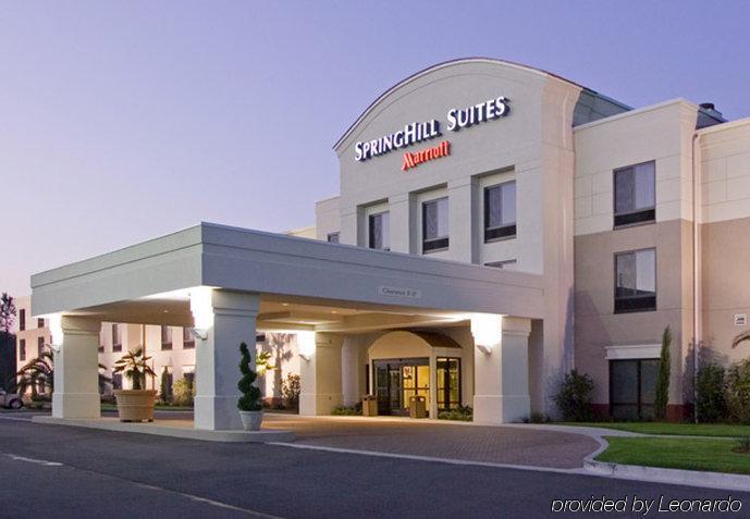 Springhill Suites By Marriott Voorhees Mt. Laurel/Cherry Hill Exterior photo